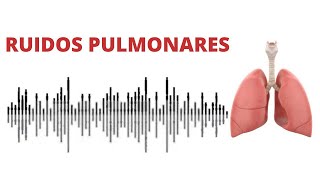 AUSCULTACIÓN PULMONAR ruidos normales y anormales [upl. by Akkim]