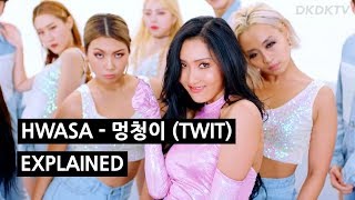 HWASA  멍청이 TWIT Explained by a Korean [upl. by Rees]