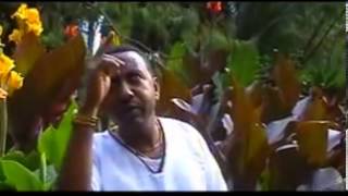 Hailu Kitaba  Wale wale Oromo Music [upl. by Ecirehc]