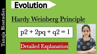 Evolution  Hardy Weinberg Principle Part1  Genetic driftMutation RecombinationClass 12 Biology [upl. by Lil790]