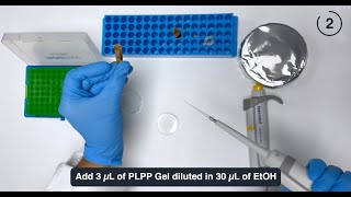 Tutorial Micropatterning of proteins with PRIMO [upl. by Mosi]