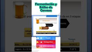 Tipos de fermentación y estilos de cerveza  Fermentación [upl. by Schilit]