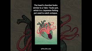 Takotsubo🐙 echocardiogram echocardiography Takotsubo Cardiomyopathy Cardiology [upl. by Ensign]