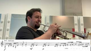 Trumpet Excerpt  StraussDomestic Symphony  Tassio Furtado Trumpet [upl. by Rodolphe180]