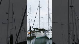 The best looking sail boat in Granville Island 😍 nature vancouver ocean granvilleisland [upl. by Essilrahc]