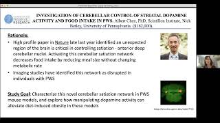 INVESTIGATION OF CEREBELLAR CONTROL OF STRIATAL DOPAMINE ACTIVITY AND FOOD INTAKE IN PWS [upl. by Lira]