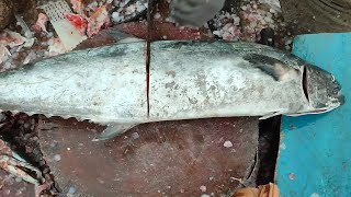 king mackerel surmai fish cutting fish market karachi fisheries [upl. by Amian]