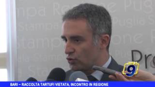 BARI  Raccolta tartufi vietata incontro in Regione [upl. by Elva]