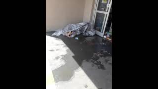 Damages in Tarpon Springs Florida [upl. by Ahsenwahs]