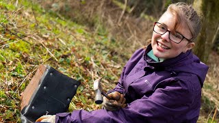 Foundation students at Marbury Park with Cheshire Wildlife Trust [upl. by Renate963]