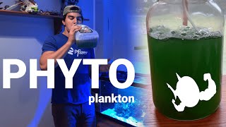 How to make Phytoplankton [upl. by Llekcir]