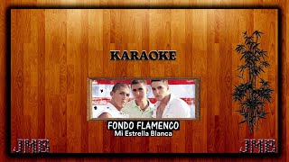 Karaoke Fondo Flamenco  Mi Estrella Blanca [upl. by Akenihs]