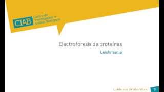 Electroforesis de proteínas Leishmania CIAB wwwciabes [upl. by Hsaka]