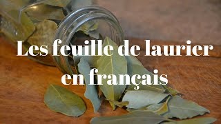 Les feuille de laurier en Français [upl. by Henka638]