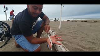 7 day fishing outing at tugela part 1 [upl. by Anni775]