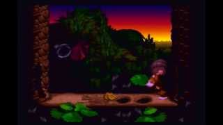 Donkey Kong Country Any noob Tutorial [upl. by Tnarb229]