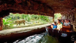 Singapore River Safari Amazon River Quest  Singapore Zoo  2018 [upl. by Razaile]