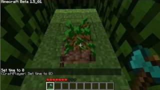 TreeAssist MinecraftBukkit Plugin [upl. by Ennaus700]