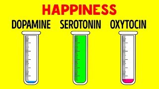 How Hormones Influence You and Your Mind [upl. by Nodnnarb111]