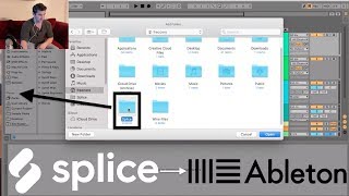 How to Use Splice Sounds in Ableton Tutorial [upl. by Nadabb117]