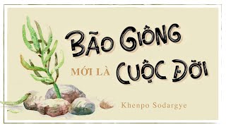 Sách nói Bão Giông Mới Là Cuộc Đời  Chương 1  Khenpo Sodargye [upl. by Zalea]