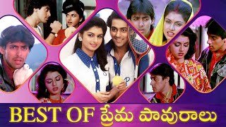 Best Of Prema Pavuralu Scene  Maine Pyaar Kiya Telugu Movie  Salman Khan  Bhagyashree [upl. by Grizelda155]