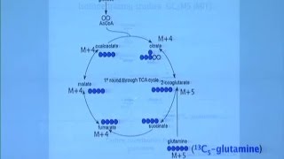 Tumor Cell Signaling and Metabolism [upl. by Htebilil885]