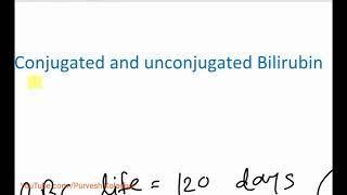 Hemolysis conjugated and unconjugated Bilirubin formation in Hindi  DrPurvesh Koladiya [upl. by Acinat]