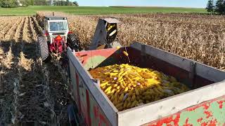 Long Video Notsch Farms Avon MN October 9 2023 [upl. by Ahsenre387]