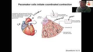 413 conduction system [upl. by Inal]