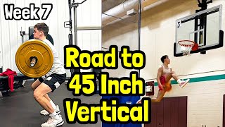 Road to 45 Inch Vertical Week 7  BTB and Eastbay [upl. by Frick799]