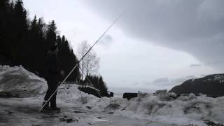 Norway shore fishing for Haddock [upl. by Symons174]