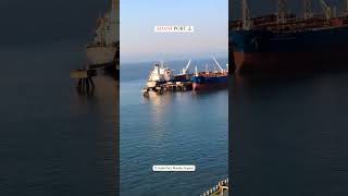 Adani port 🏗️ shiplife explore adaniport seafarer bulkcarriers shortvideo [upl. by Etnelav]