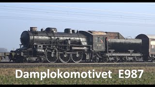 Tog i Danmark  Transport af damplokomotivet E987 til Gedser [upl. by Suoicerpal305]