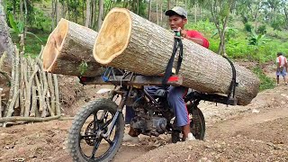 Skilled wood taxi workers carrying large logs [upl. by Rich]