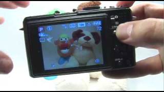 Panasonic DMCLX3 Spot Meter [upl. by Welcher]