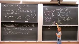 Cohomology of moduli spaces of curves [upl. by Sivie474]