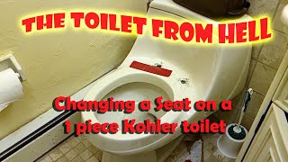 Before You Buy a Kohler One Piece Toilet Watch this Video on Replacing a Toilet Seat [upl. by Aicul556]