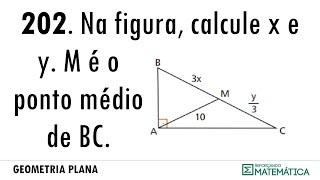 C06 PERPENDICULARIDADE 202 [upl. by Forelli]