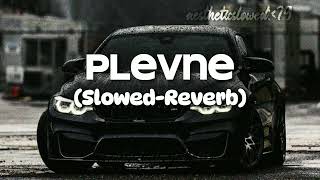 Plevne slowedreverb Music MP3 Turkish Songaestheticslowed79 [upl. by Lahsram]