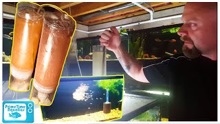 How to Set Up a Baby Brine Shrimp Hatchery [upl. by Odrarebe]