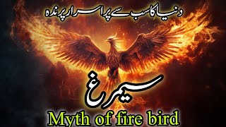 king of birds phoenix bird simurgh myth of fire birdmystry of fire bord [upl. by Lesde]