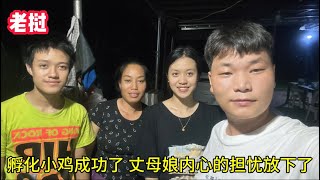 孵化小雞成功，再次開箱存活率驚人，老撾丈母娘內心的擔憂放下了 [upl. by Ventura398]