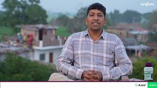 Syngenta  Axial  Wheat  Testimonial  MP  Surender Singh [upl. by Alarise]