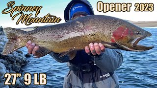 SPINNEY MOUNTAIN RESERVOIR Opening Day  Fly Fishing Colorado for MASSIVE TROUT on gold metal water [upl. by Navaj]