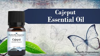 Cajeput Essential Oil [upl. by Steffy90]