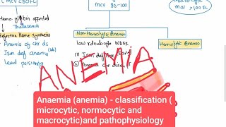 Anaemia anemia  classification microcytic normocytic and macrocytic and pathophysiology [upl. by Lash]