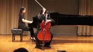 Dvorak Cello Concerto in B minor 3rd Movement [upl. by Bel456]