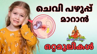 ചെവിപഴുപ്പിന് ഒറ്റമൂലികൾ  chevui pazhuppu maaran  ear discharge malayalam [upl. by Cave]