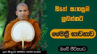 මෛත්‍රී භාවනාව  VenKirulapana Dhammawijaya Thero [upl. by Secnarfyram768]